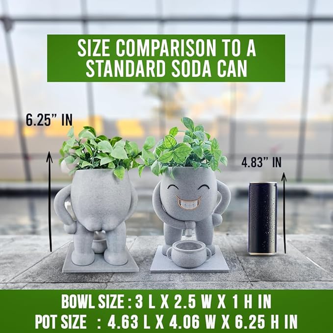 Funny Head Succulent Planter Pot with Drainage Bowl