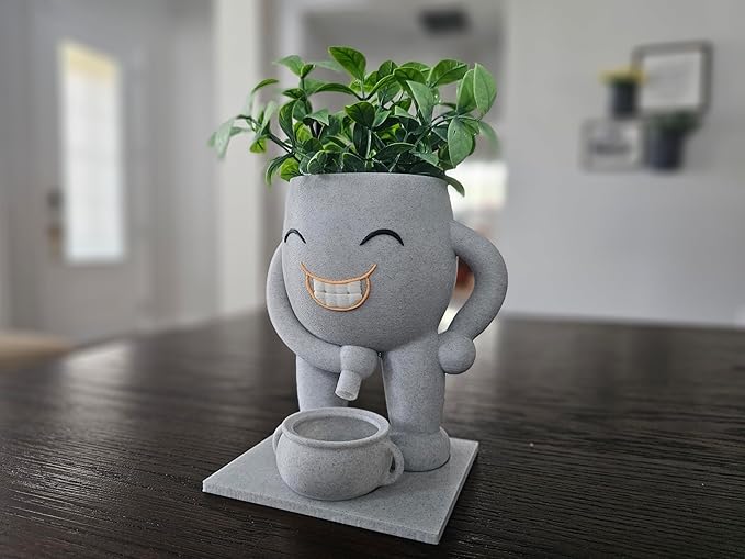 Funny Head Succulent Planter Pot with Drainage Bowl