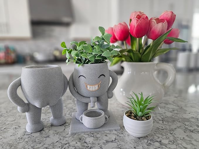 Funny Head Succulent Planter Pot with Drainage Bowl
