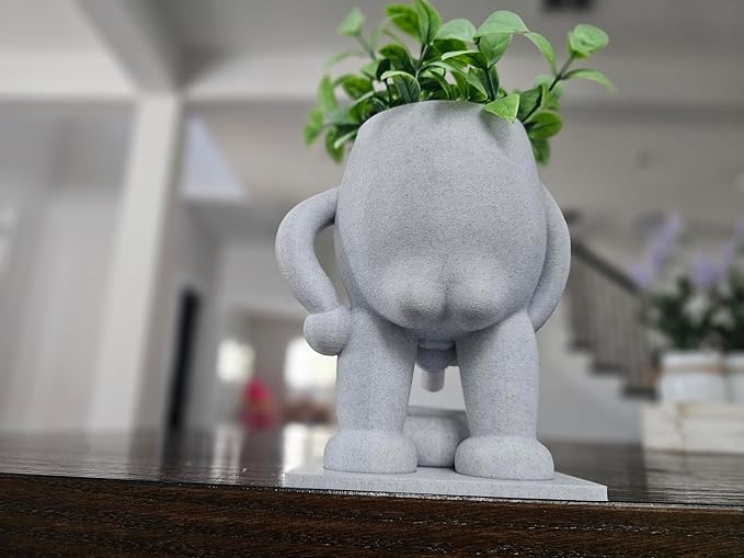 Funny Head Succulent Planter Pot with Drainage Bowl